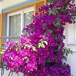 Clementin Suits Ξενοδοχείο με διαμερίσματα Siğacık
