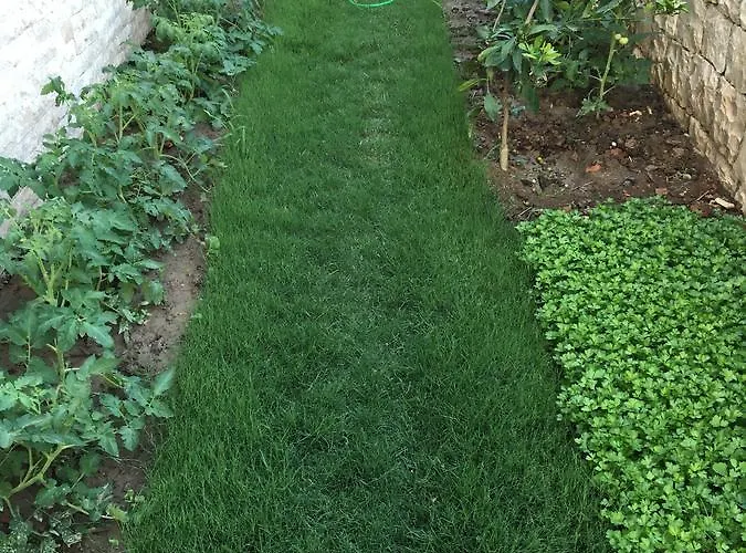 Clementin Suits Apartahotel 3*