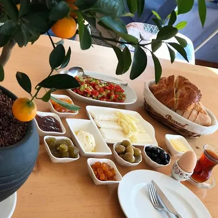 Clementin Suits Siğacık