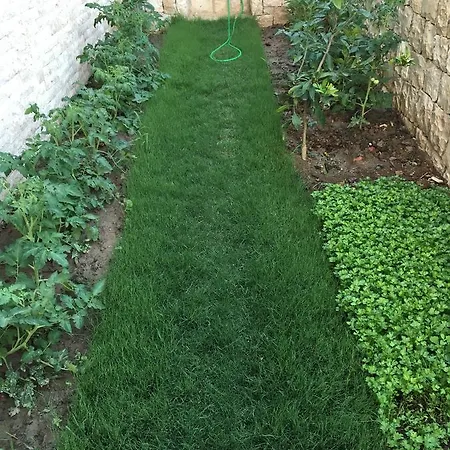 Clementin Suits Hotel apartamentowy 3*