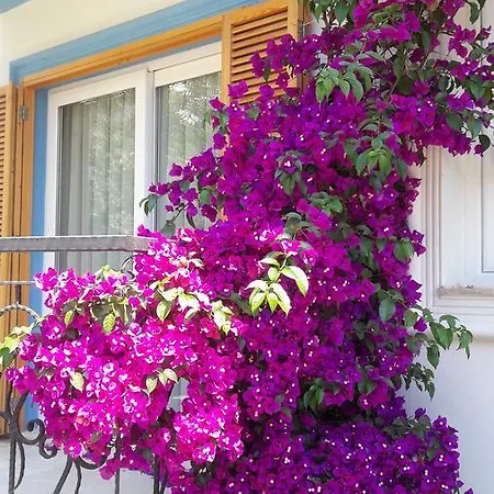 Clementin Suits Aparthotel Siğacık