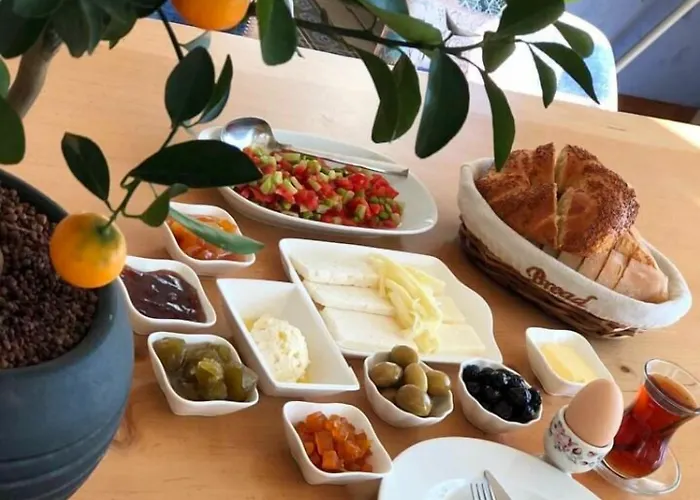 Clementin Suits Siğacık