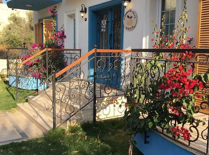 Clementin Suits 3* Siğacık