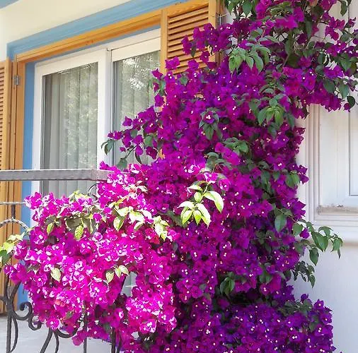 Clementin Suits Hotel apartamentowy Siğacık